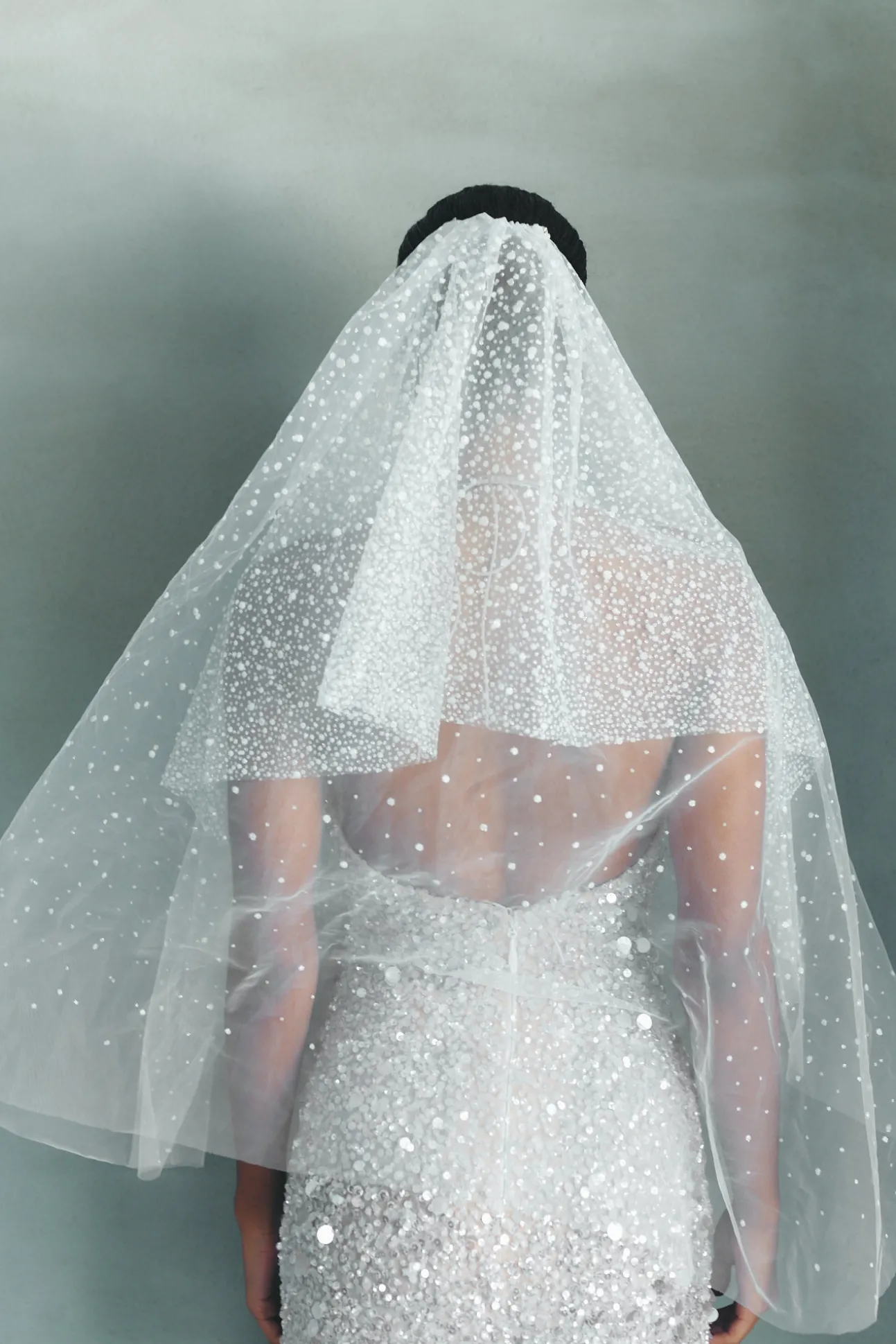 Carla Veil