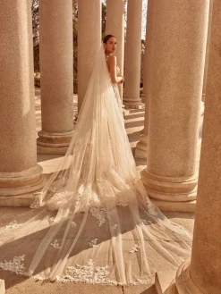 Catalina Veil