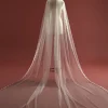 Finesse Veil
