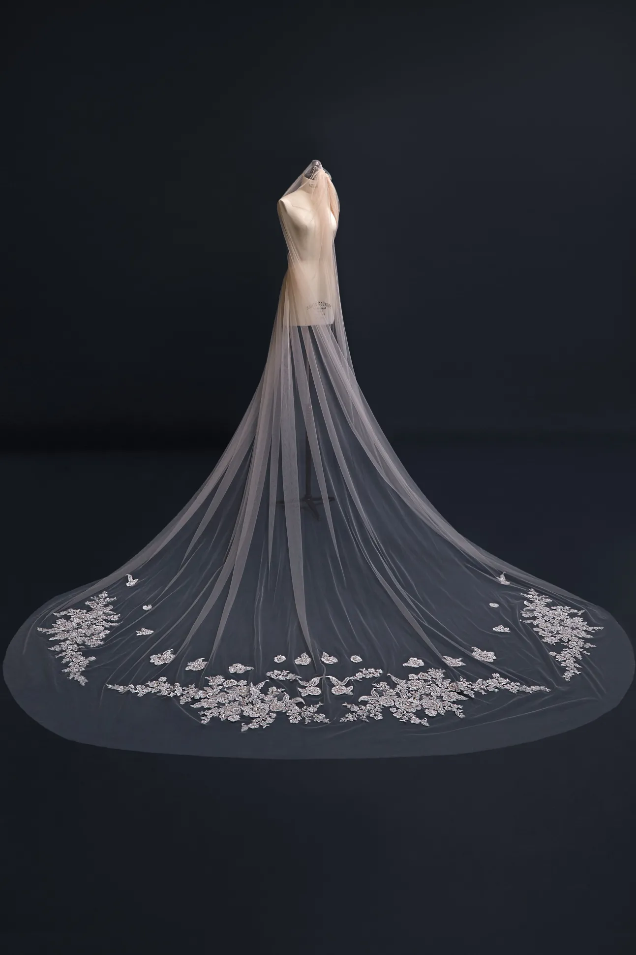Gia Veil