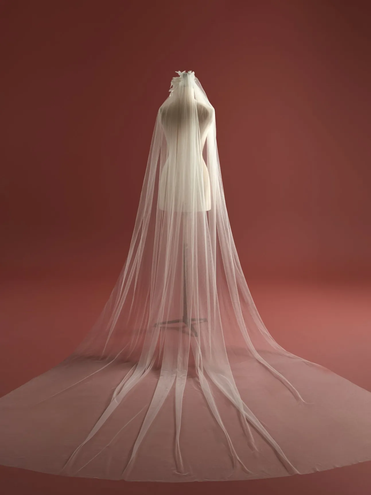 Horizon Veil