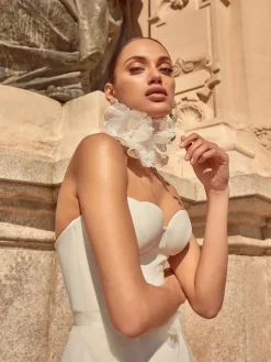 Paloma