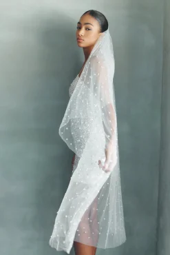 Perri Veil