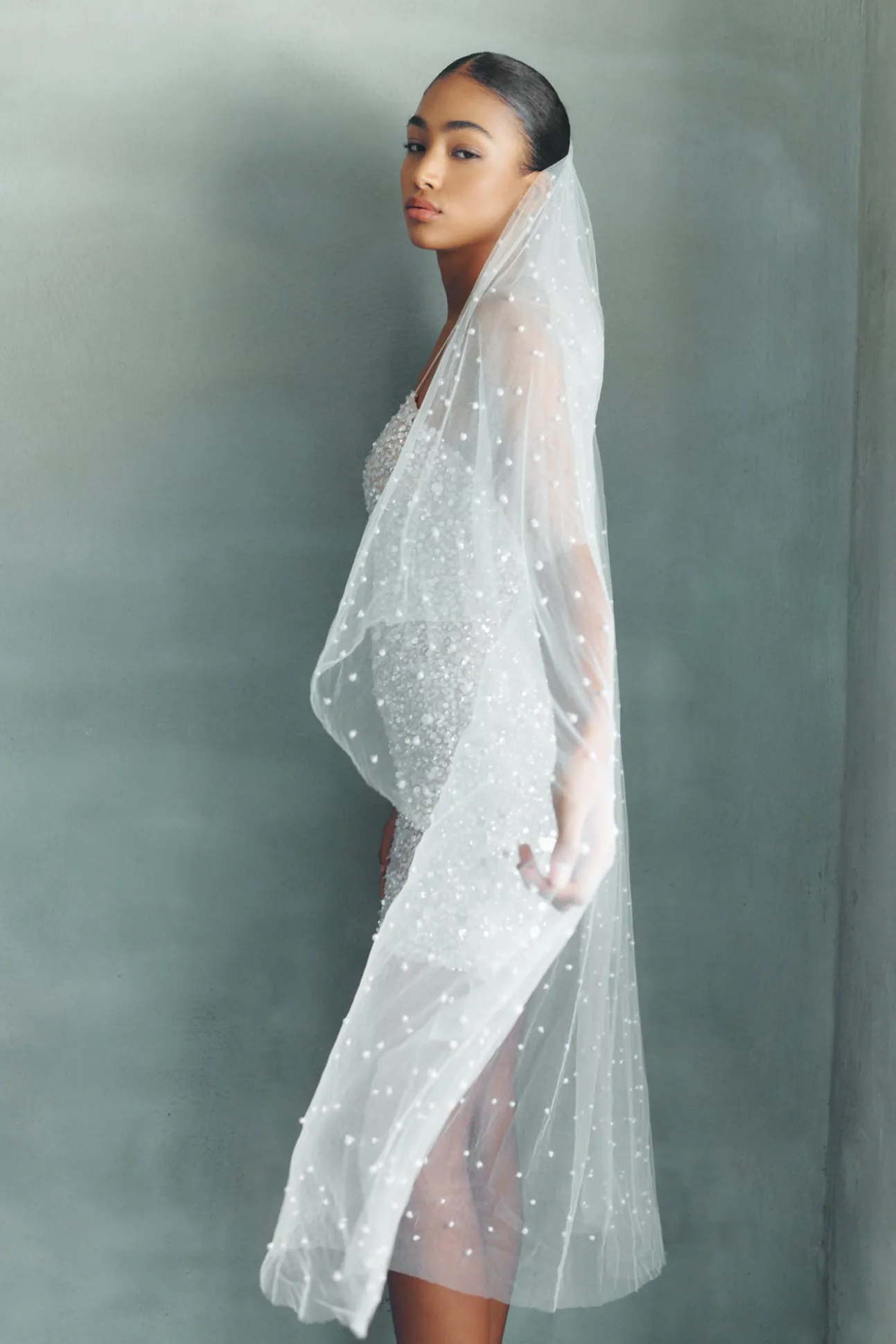 Perri Veil